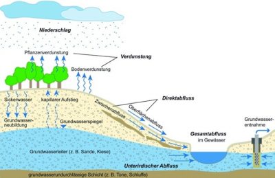 Ist unser Wald noch zu retten? Wald und die Folgen des Klimawandels